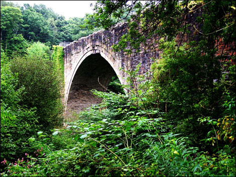 The Causey Arch. By Terry Ferdinand