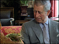 英国王储查尔斯与青蛙