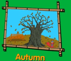 Autumn deciduous tree