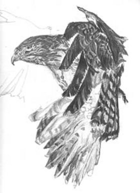 Eagle
