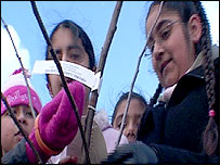 Young children on the allotments