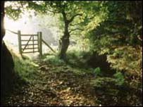 Sexo ao ar livre é mania na Grã-Bretanha