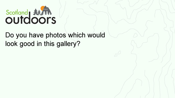 Do you have photos which would look good in our galleries? Send them to us.