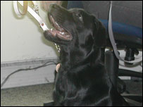 Moby at 4 months old