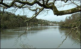 The view of the river