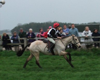Simon horse racing