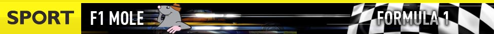 BBC BLOGS - F1 Mole