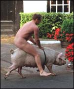 Pig riding 