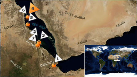 Dive map - Red Sea - Site 4