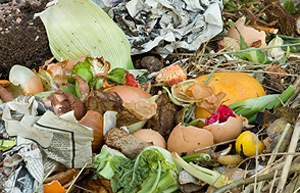 Food for composting