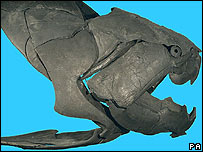 'Dunkleosteus terrelli', foto: Michael LaBarbera/PA