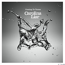 Review of Coming To Terms