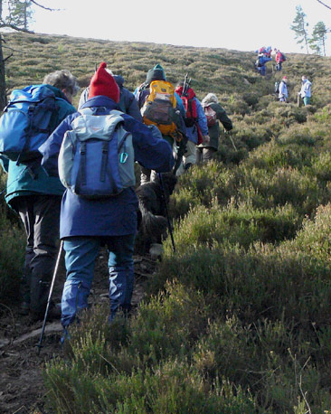 Group walking up heather hillside