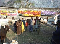 جماعتہ الدعوۃ