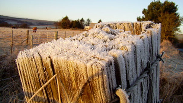 Hay Bale, Arbuthnott