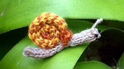 Small woollen snail on a leaf