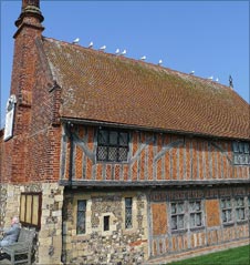 Ten gulls on roof of Moot Hall, Aldeburgh