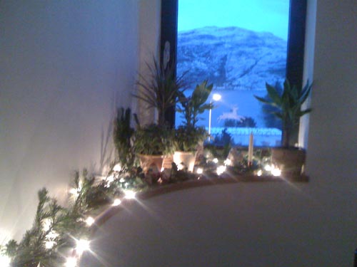 Christmas decorations