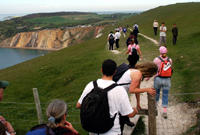 Llun cyffredinol o gerddwyr