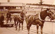 Horse and carriage on Southend Pier, 1885