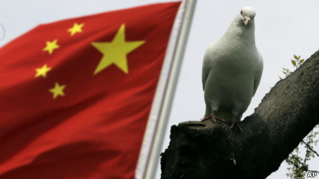 上海一家公园内的鸽子