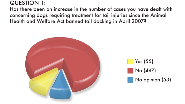 Graphic depicting proportion of vets (9.2%) reporting more tail injuries since the ban