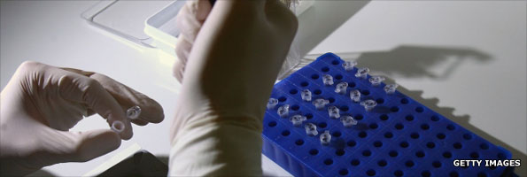 Scientists working on swine flu vaccine