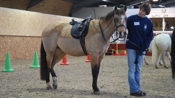 Muirfield Riding for the Disabled group were beneficiaries of a grant from the 2008/2009 Children in Need appeal.