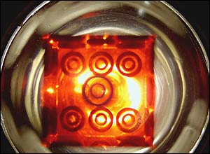 عکس از علی رضا پناهی