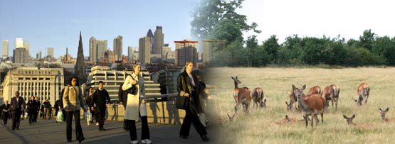 Urban and rural environments