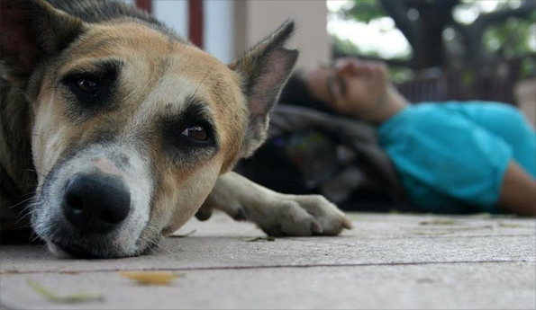 Photo by Manjiri Maindarkar