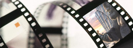 King Kong loose in New York City