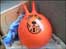 Space Hopper