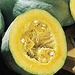Winter Squash