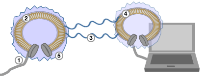 उपरकण का सिद्धांत