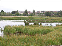Radipole Lake nature reserve