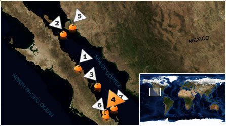 Dive map - Sea of Cortez - Site 4