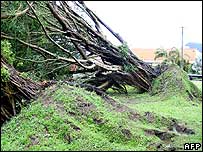 Destruction caused by cyclone