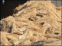 ژمی او دڅارويوخواړه