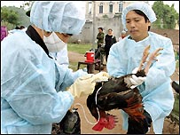 Tiêm ngừa ở ngoại thành Hà Nội