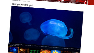 Your pictures of light