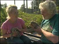 Kim Wilde and small cats