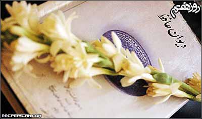 مریم حیدرزاده