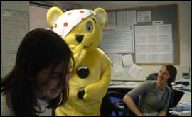 Pudsey T. Bear