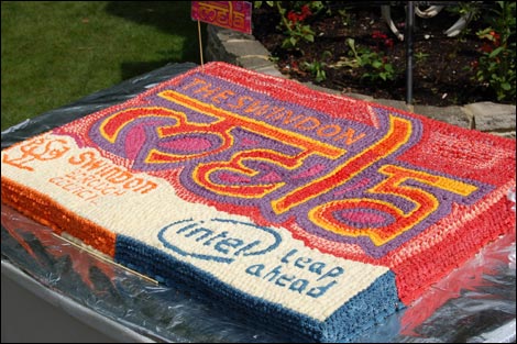 The Swindon Mela 2007