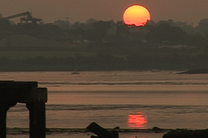 Bird lover John talks about the pleasure of a dawn chorus. 