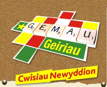 gemau geiriau, cwisiau newyddion