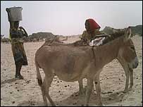 در اردوگاه های پناهندگان، آب، غذا و داروی کافی وجود ندارد