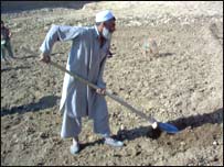 بزګر په پټي کې د کار کولو پرمهال