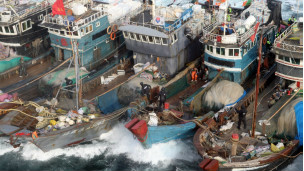 Tàu đánh bắt của Trung Quốc 